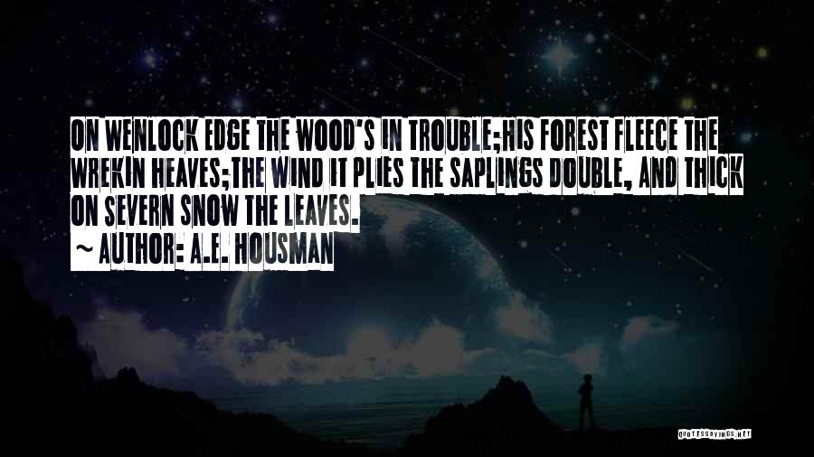 Snow Forest Quotes By A.E. Housman