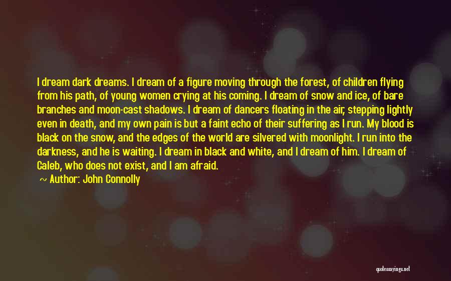 Snow Forest Quotes By John Connolly