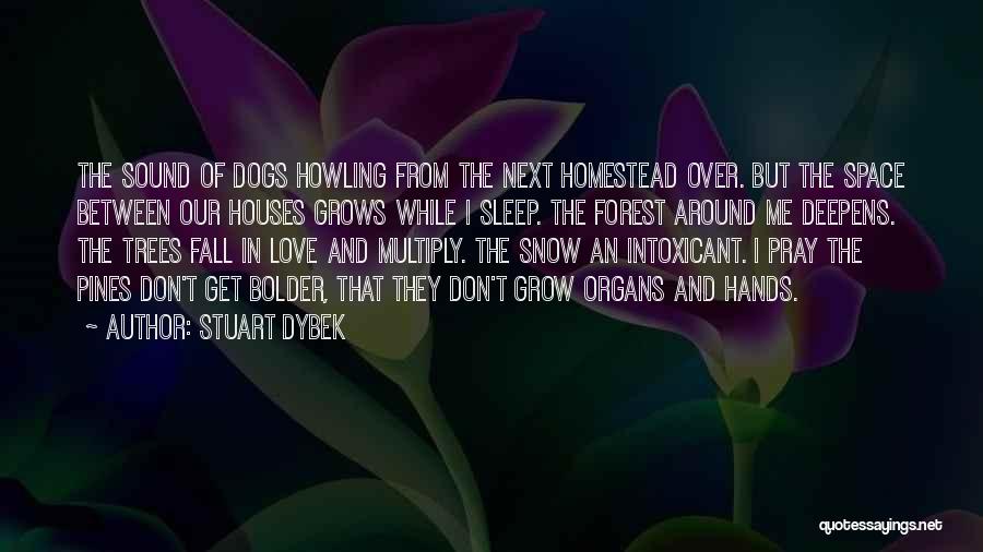Snow Forest Quotes By Stuart Dybek
