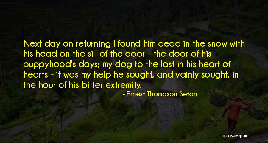Snow Heart Quotes By Ernest Thompson Seton Snow Heart Quotes By Ernest Thompson Seton