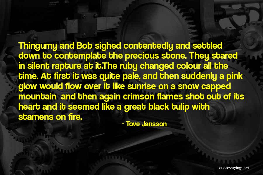 Snow Heart Quotes By Tove Jansson Snow Heart Quotes By Tove Jansson