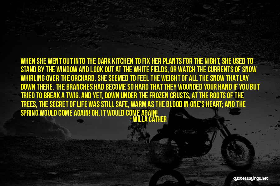 Snow Heart Quotes By Willa Cather Snow Heart Quotes By Willa Cather