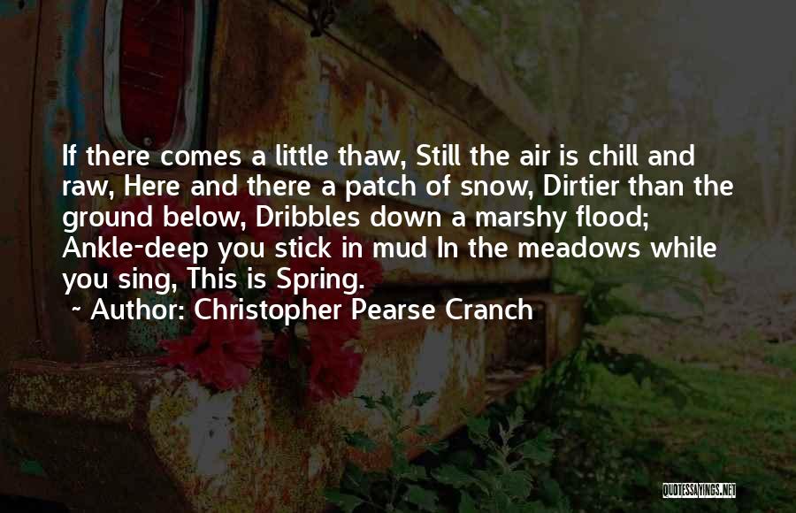 Snow In Spring Quotes By Christopher Pearse Cranch