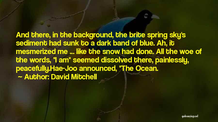 Snow In Spring Quotes By David Mitchell