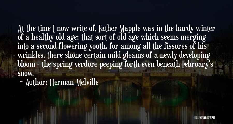Snow In Spring Quotes By Herman Melville