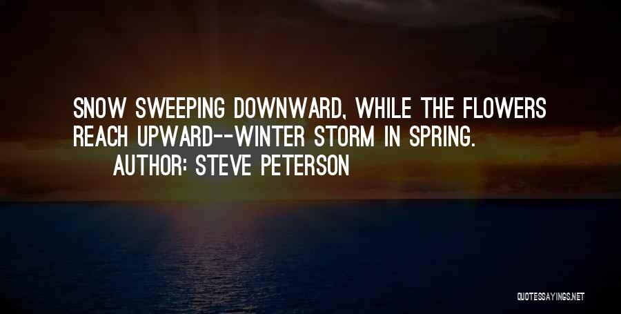 Snow In Spring Quotes By Steve Peterson
