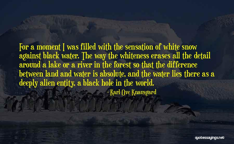 Snow Land Quotes By Karl Ove Knausgard