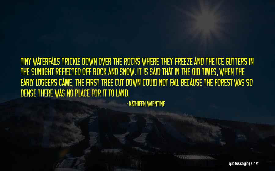 Snow Land Quotes By Kathleen Valentine