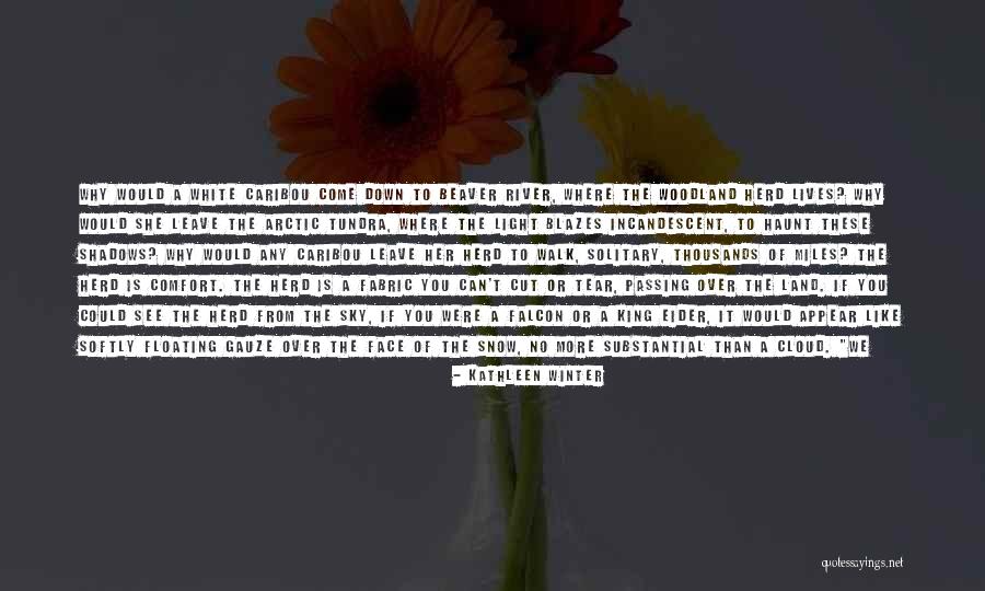 Snow Land Quotes By Kathleen Winter Snow Land Quotes By Kathleen Winter