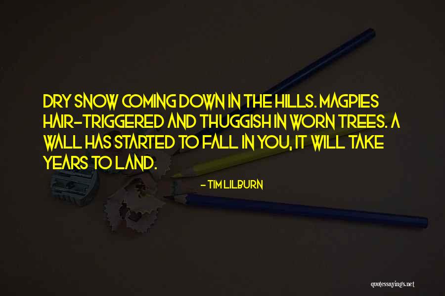 Snow Land Quotes By Tim Lilburn