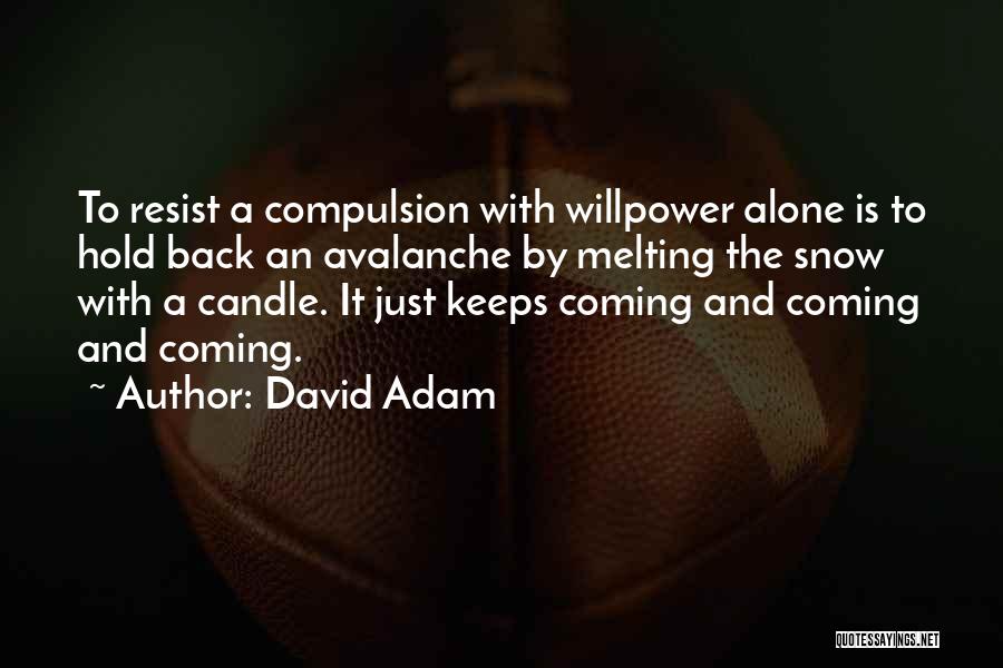 Snow Melting Quotes By David Adam