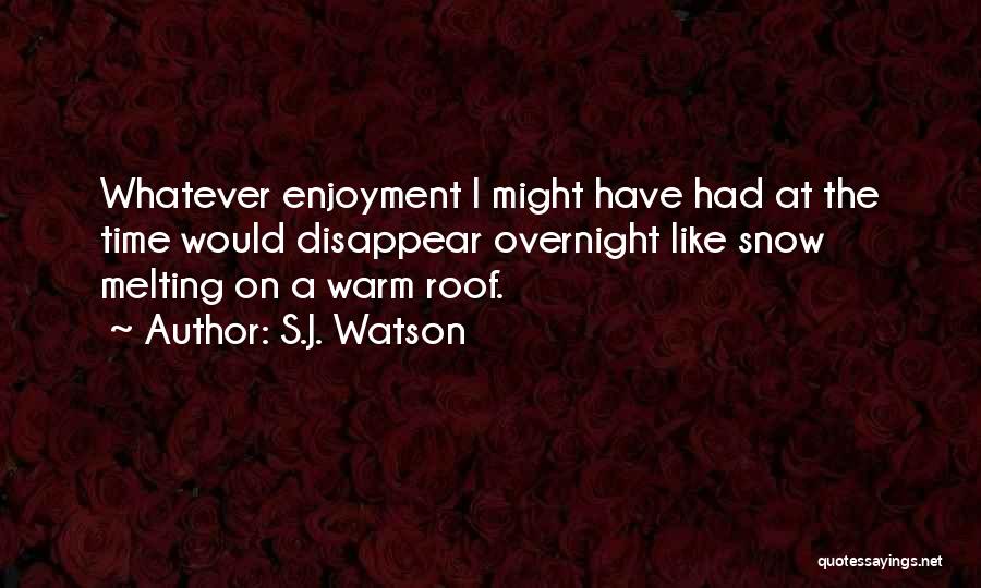 Snow Melting Quotes By S.J. Watson