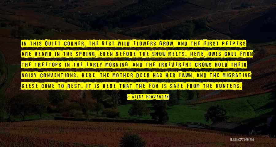 Snow Melts Quotes By Alice Provensen Snow Melts Quotes By Alice Provensen