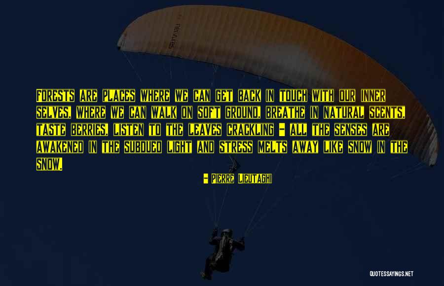 Snow Melts Quotes By Pierre Lieutaghi Snow Melts Quotes By Pierre Lieutaghi