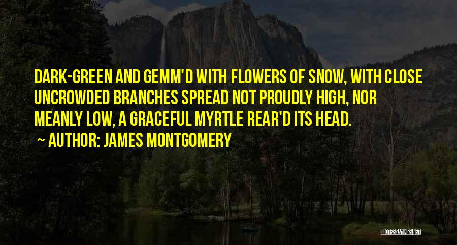 Snow On Branches Quotes By James Montgomery