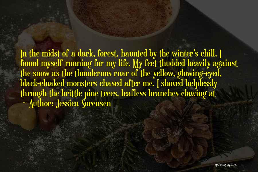 Snow On Branches Quotes By Jessica Sorensen