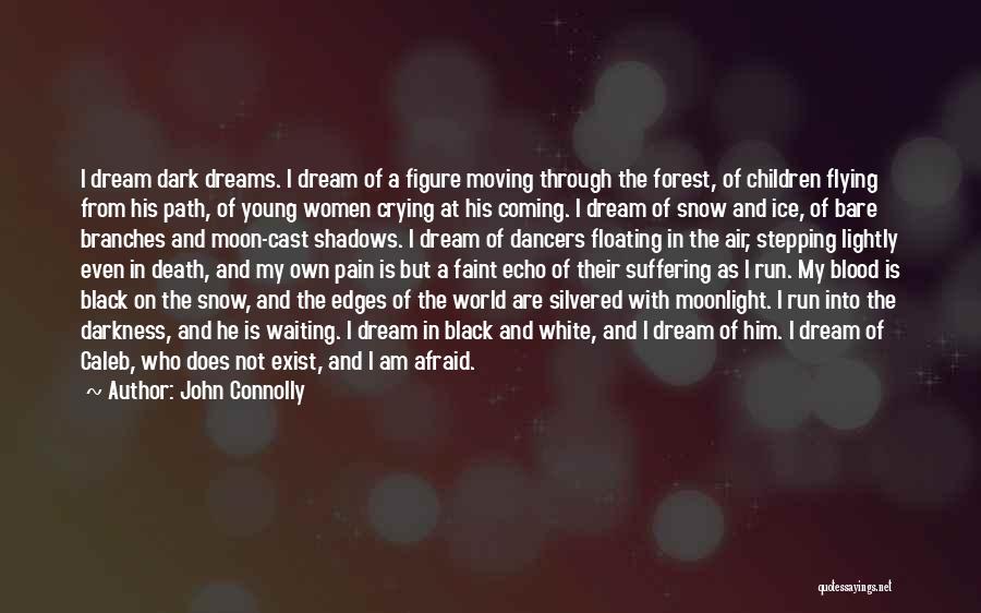 Snow On Branches Quotes By John Connolly