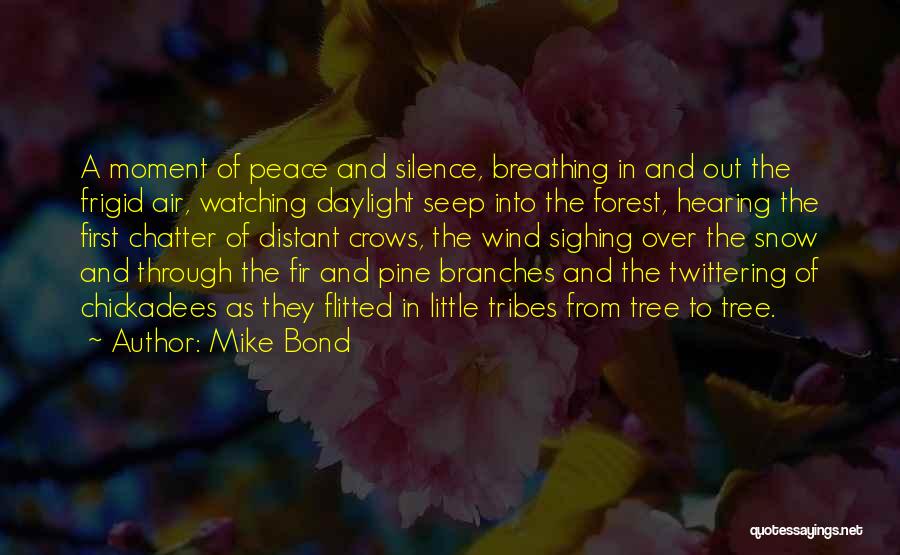 Snow On Branches Quotes By Mike Bond