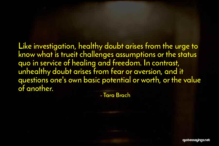 Snow Plough Blades Quotes By Tara Brach Snow Plough Blades Quotes By Tara Brach