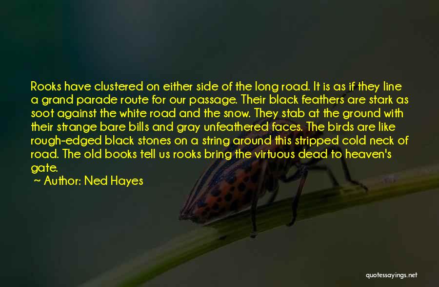 Snow Road Quotes By Ned Hayes