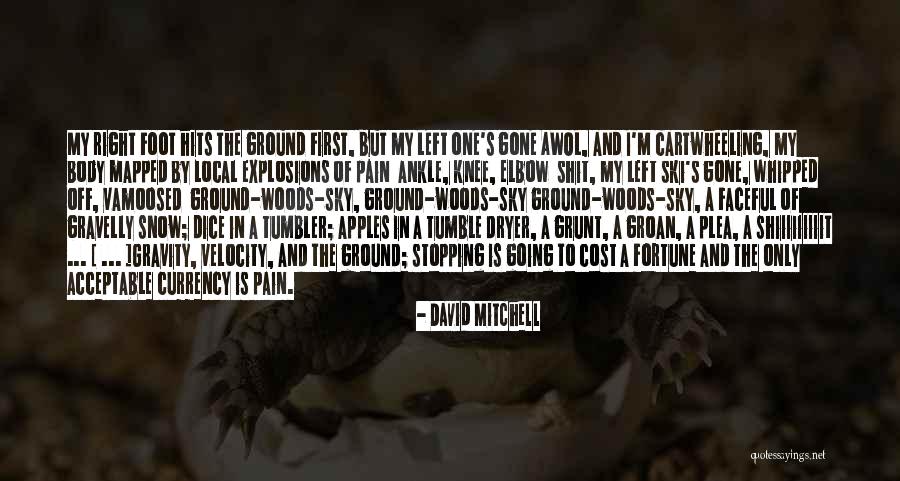 Snow Skiing Quotes By David Mitchell