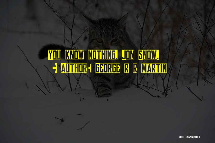 Snow Storm Quotes By George R R Martin