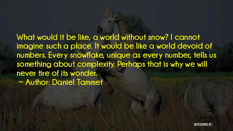 Snow Tire Quotes By Daniel Tammet