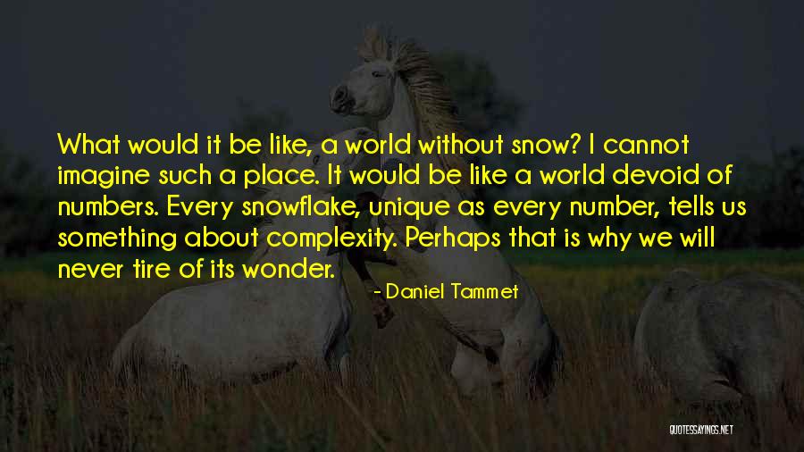 Snow Tire Quotes By Daniel Tammet