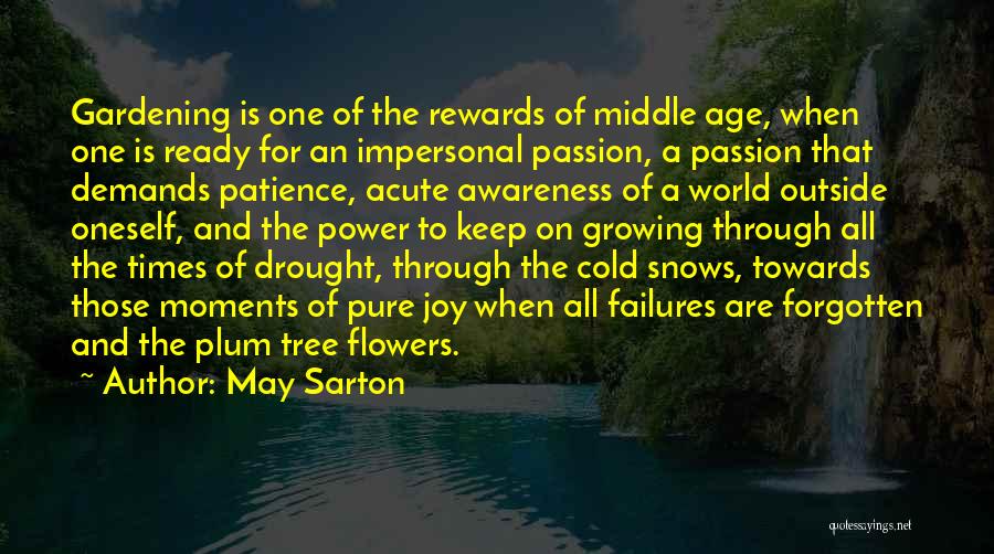 Snow Tree Quotes By May Sarton