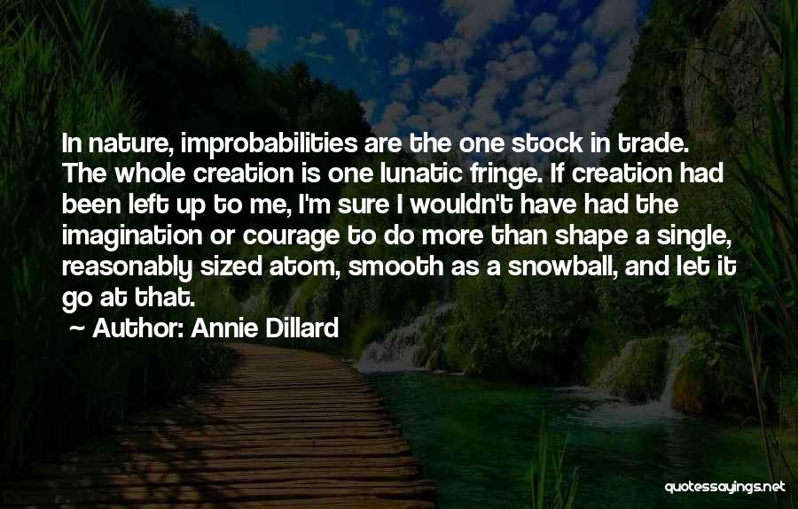 Snowball Quotes By Annie Dillard