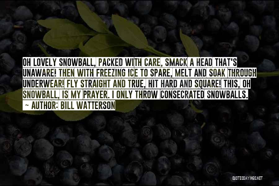 Snowball Quotes By Bill Watterson