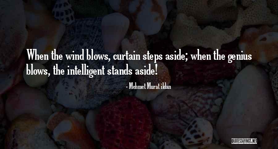 Snowballs Book Quotes By Mehmet Murat Ildan Snowballs Book Quotes By Mehmet Murat Ildan