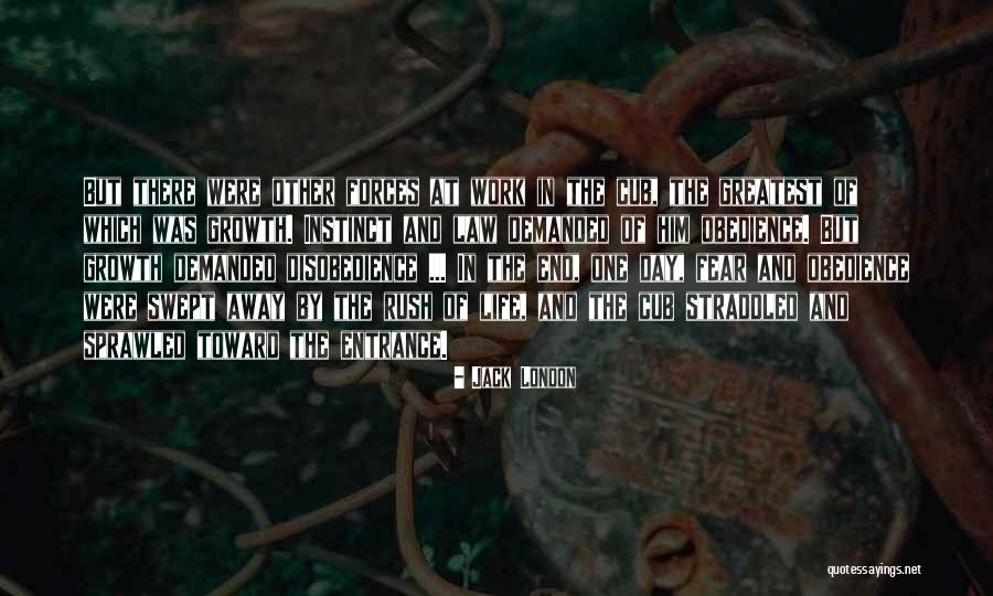 Snowblood Band Quotes By Jack London Snowblood Band Quotes By Jack London