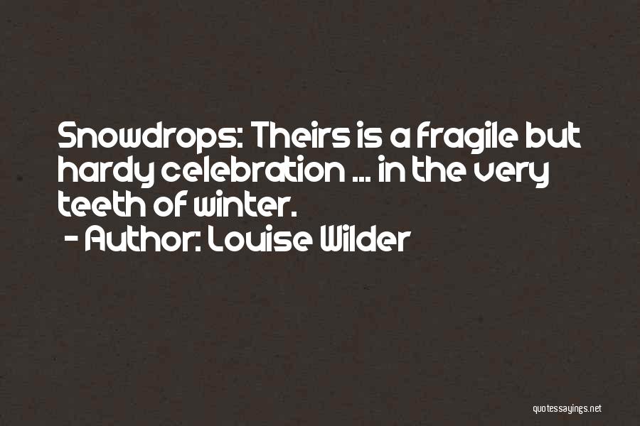 Snowdrops Quotes By Louise Wilder