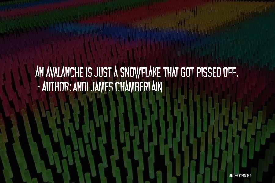 Snowflake Life Quotes By Andi James Chamberlain
