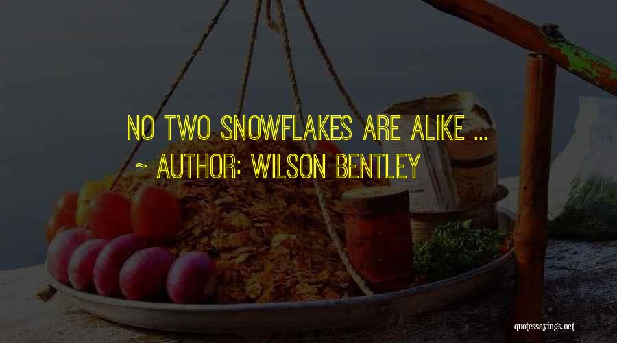 Snowflake Life Quotes By Wilson Bentley