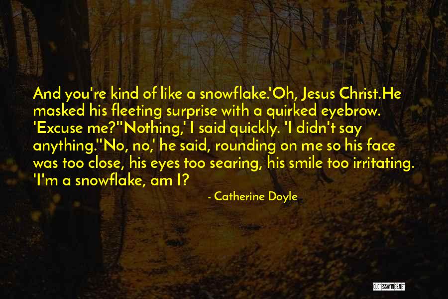 Snowflake Quotes By Catherine Doyle