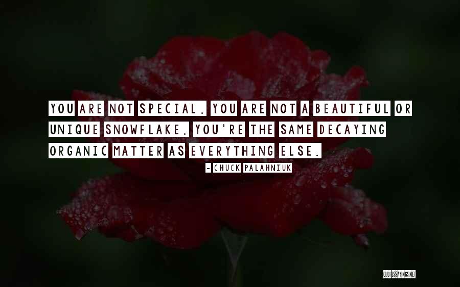 Snowflake Quotes By Chuck Palahniuk Snowflake Quotes By Chuck Palahniuk