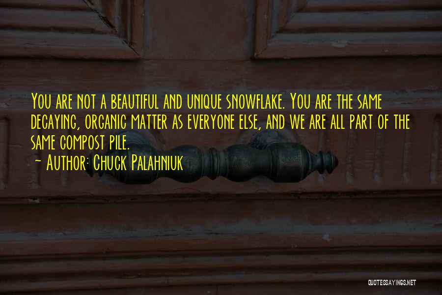 Snowflake Quotes By Chuck Palahniuk