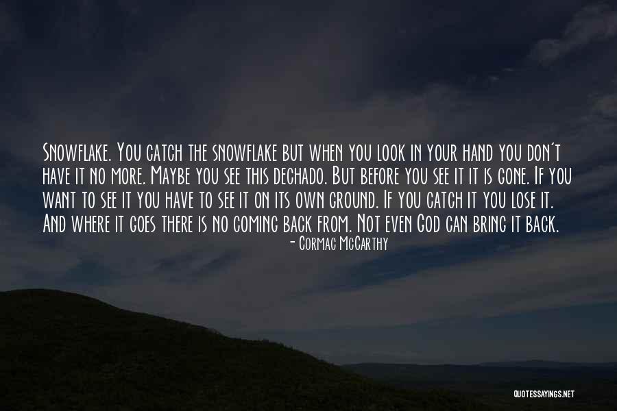 Snowflake Quotes By Cormac McCarthy