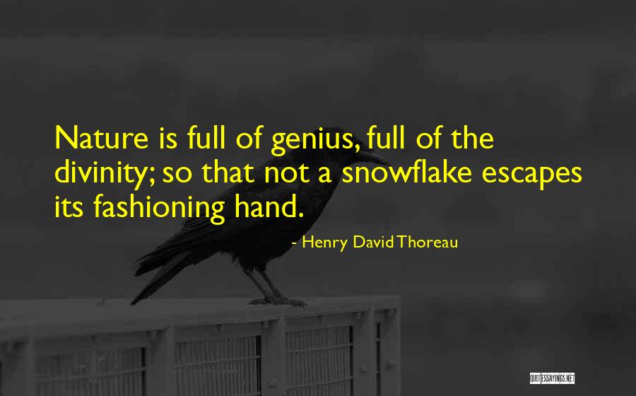 Snowflake Quotes By Henry David Thoreau