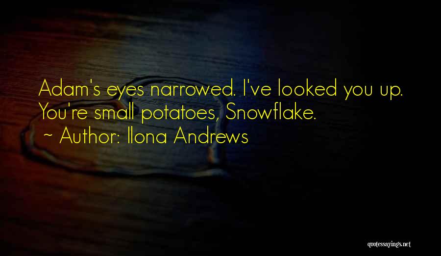 Snowflake Quotes By Ilona Andrews
