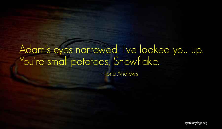 Snowflake Quotes By Ilona Andrews