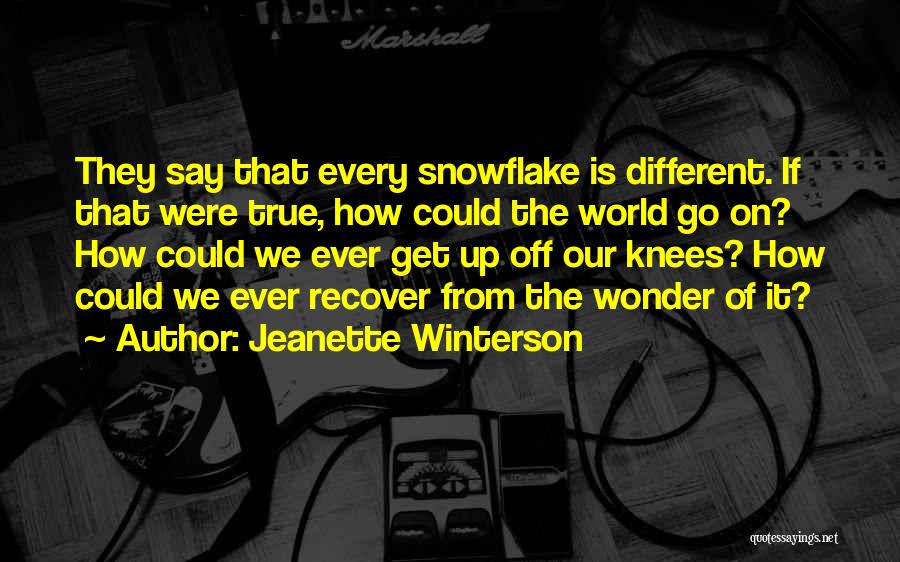 Snowflake Quotes By Jeanette Winterson