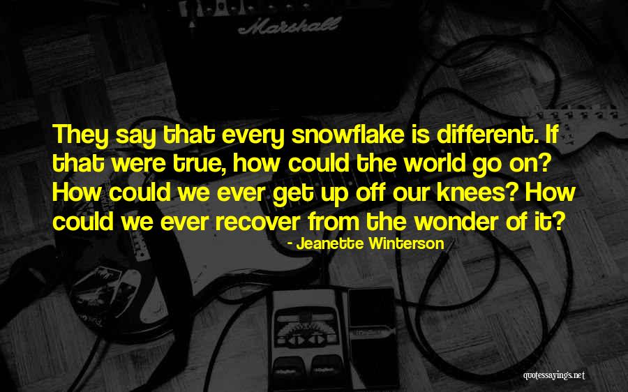 Snowflake Quotes By Jeanette Winterson