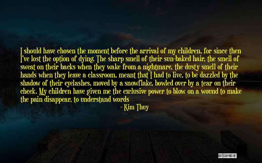 Snowflake Quotes By Kim Thuy Snowflake Quotes By Kim Thuy