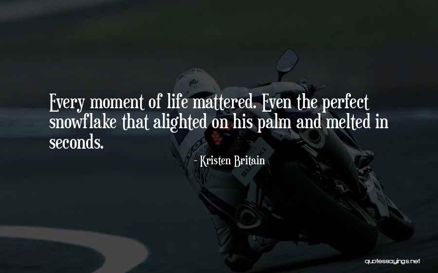 Snowflake Quotes By Kristen Britain Snowflake Quotes By Kristen Britain