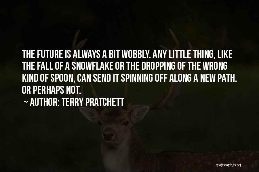 Snowflake Quotes By Terry Pratchett