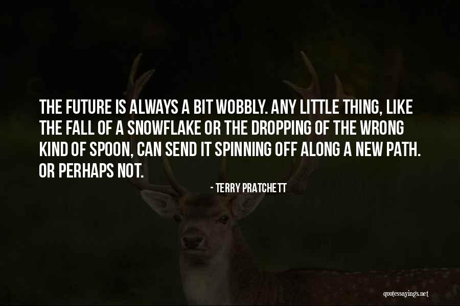 Snowflake Quotes By Terry Pratchett