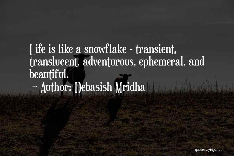 Snowflakes And Life Quotes By Debasish Mridha